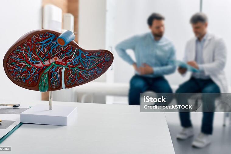 Foto mit Istock Logo Plastikmodell Querschnitt einer Leber Patient und Arzt im Gespräch im Hintergrund